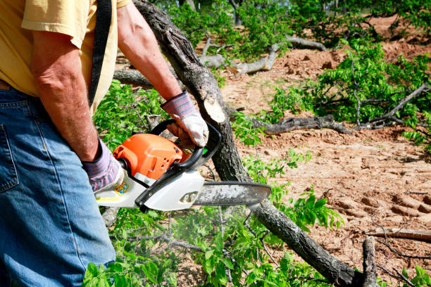 Best Tree Pruning Services  in Mooreland, OK